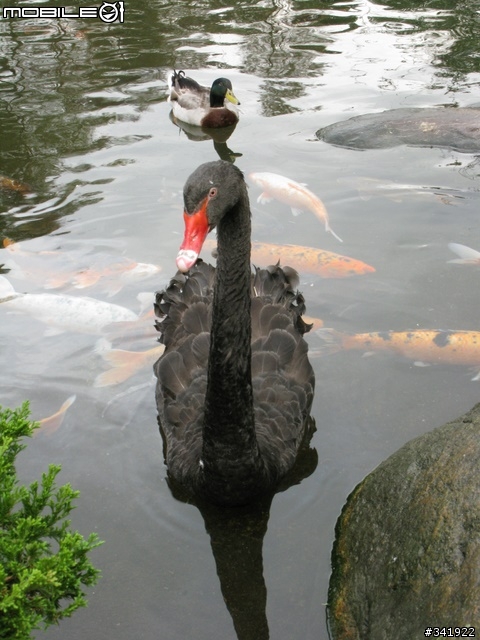 [分享][G9]年終分享 - 宜蘭三富花園~~