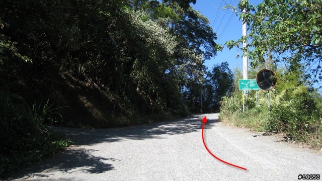 南投縣 鹿谷小半天→山豬湖產業道路→大崙山→羊彎→溪頭→鹿谷小半天