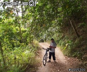 (分享)關子嶺南寮福安宮新路線