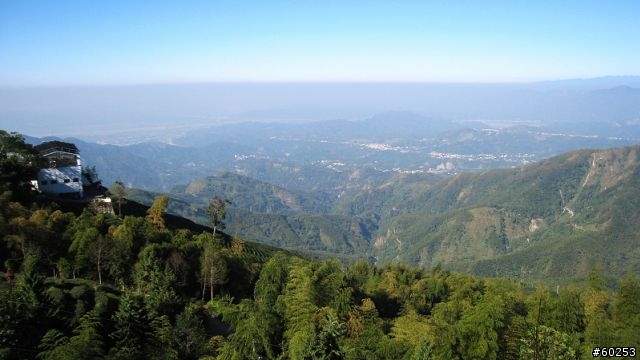 南投縣 鹿谷小半天→山豬湖產業道路→大崙山→羊彎→溪頭→鹿谷小半天