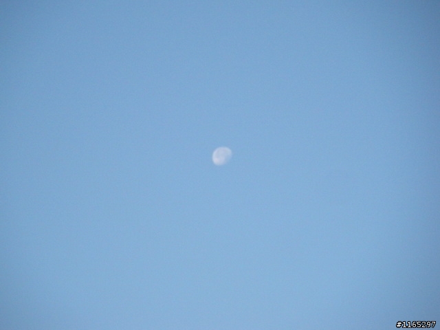 今早明月高掛總統府上空