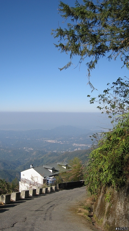 南投縣 鹿谷小半天→山豬湖產業道路→大崙山→羊彎→溪頭→鹿谷小半天