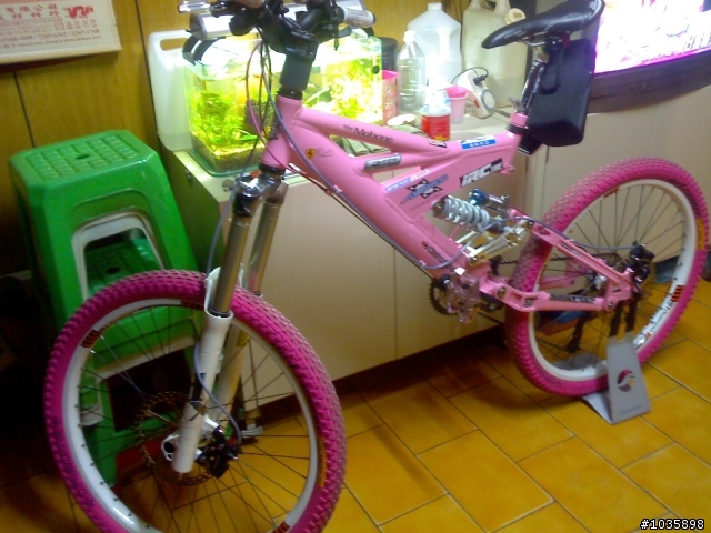 擁有自我風格的車主_請讓您愛車現身分享