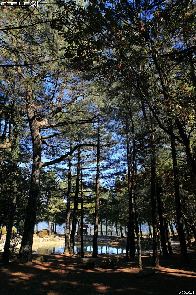 無敵兔第三篇 風景與棚拍人像