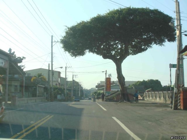 逍遙遊的1.) 挑戰路線探勘(照片多)--(第八屆)『2008八卦山脈 美利達盃&單車嘉年華』