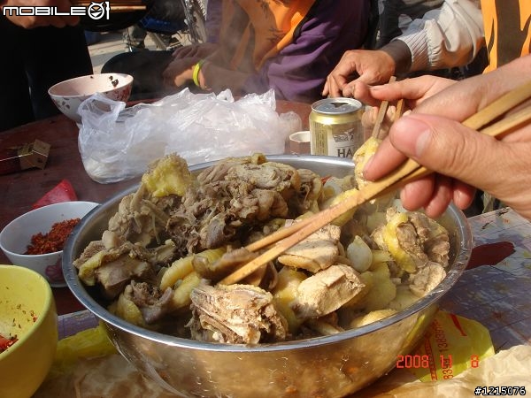 大家好，我是新来的！