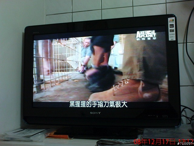 SONY BRAVIA使用問題