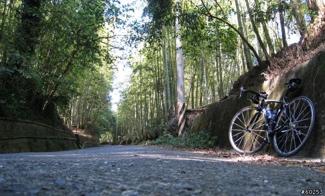 南投縣 鹿谷小半天→山豬湖產業道路→大崙山→羊彎→溪頭→鹿谷小半天