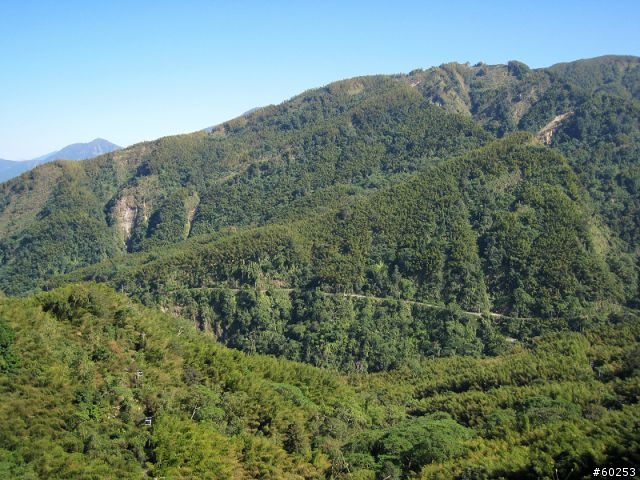 南投縣 鹿谷小半天→山豬湖產業道路→大崙山→羊彎→溪頭→鹿谷小半天