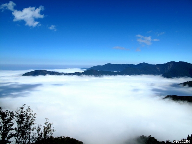 超壯麗的觀霧雲海---寒流受凍的代價是值得的