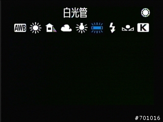 無敵兔第三篇 風景與棚拍人像