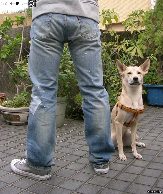 [分享] Levis 日版08501 破壞馬賽克褲