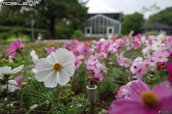 Tokina AF 11-16mm F2.8試拍