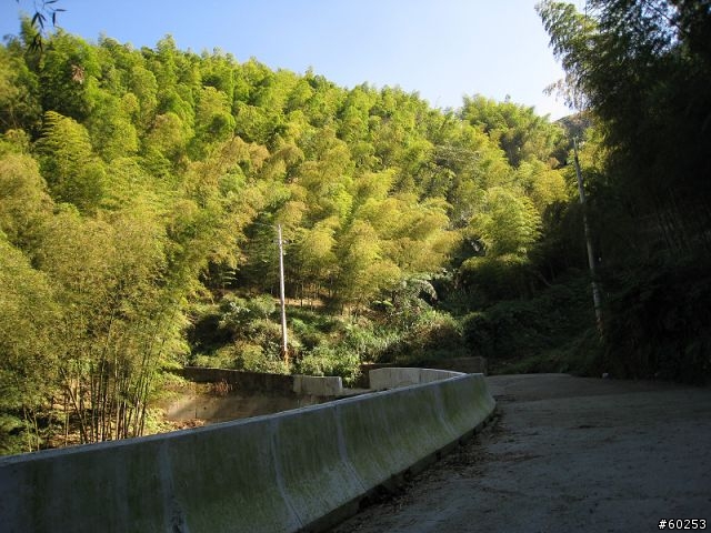 南投縣 鹿谷小半天→山豬湖產業道路→大崙山→羊彎→溪頭→鹿谷小半天