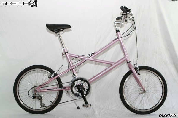 無緣的MINI2...意外入手RAYCH R2080小徑車～賀！