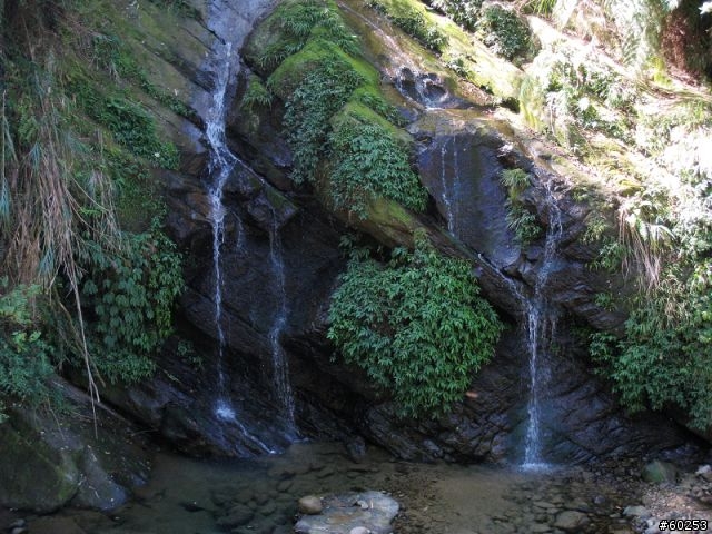 南投縣 鹿谷小半天→山豬湖產業道路→大崙山→羊彎→溪頭→鹿谷小半天