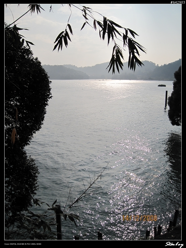 【試拍】IXUS 980 IS