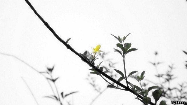 老兵不死，新兵報到～LX2新新手