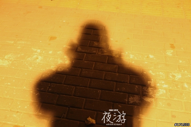 我把5D Mark II領回家.夜遊!高ISO......