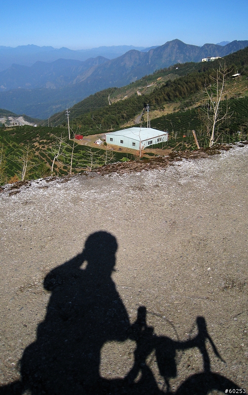 南投縣 鹿谷小半天→山豬湖產業道路→大崙山→羊彎→溪頭→鹿谷小半天