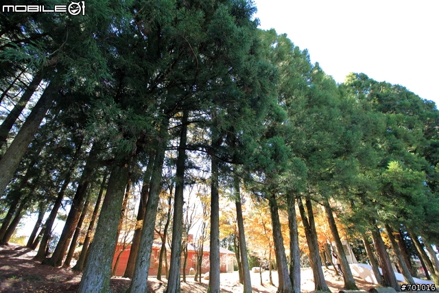 無敵兔第三篇 風景與棚拍人像