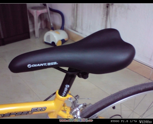 在東莞厚街敗的一台GIANT 公路車(WINDSPEED 500)