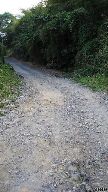南投縣 竹山→投49鄉道→大人凍林道→軟鞍八卦茶園