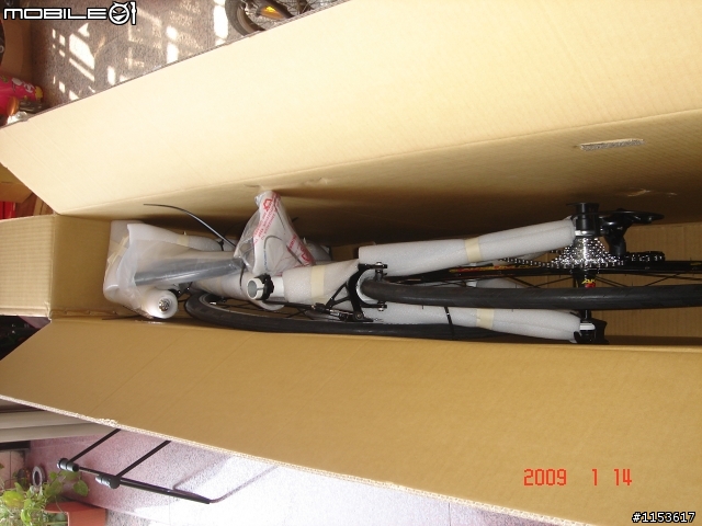 (阿志桑的分享)2009 FESTINO PRIMNERA 公路車開箱