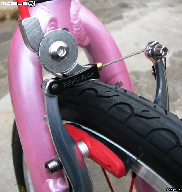 santosa california E200 仿 DAHON TT 粉金改裝版 !!