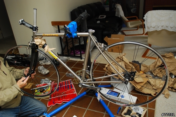 除夕日, Litespeed Arenberg