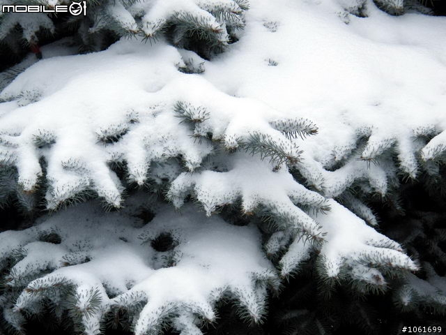 生活中的雪景, 给寒冬加一奌氣氛