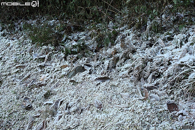 原厰新勁戰三橫環半島09.01.12-01.15...圖多小心