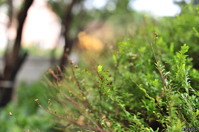 [分享] Nikon AF-S Nikkor 50mm F1.4 G 開箱