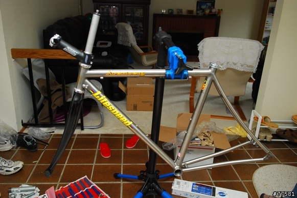 除夕日, Litespeed Arenberg
