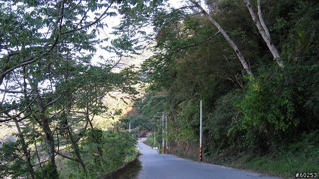 台中縣 東勢→雪見→司馬限→大湖→苗55→東勢