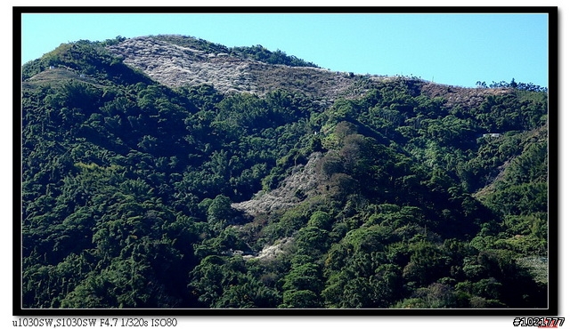 Olympusμ1030SW  梅花開啦