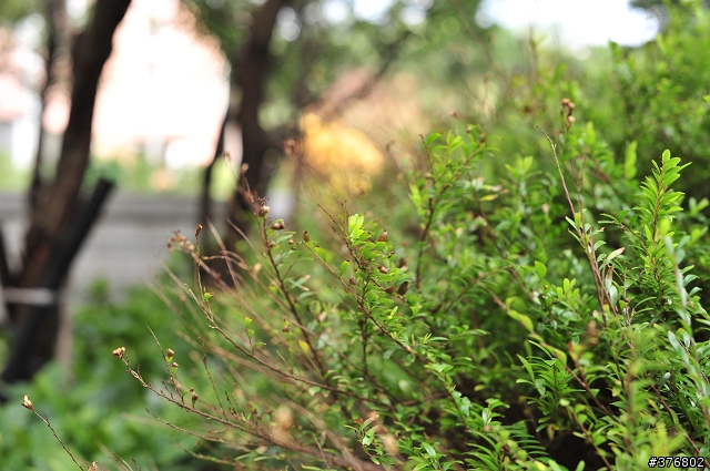 [分享] Nikon AF-S Nikkor 50mm F1.4 G 開箱