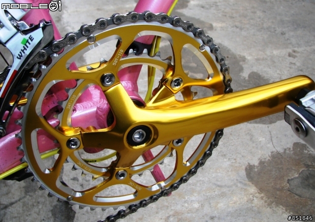 santosa california E200 仿 DAHON TT 粉金改裝版 !!