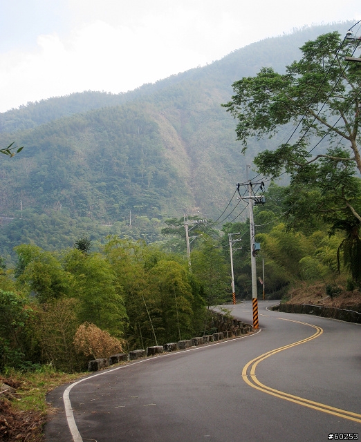 南投縣 竹山→投49鄉道→大人凍林道→軟鞍八卦茶園