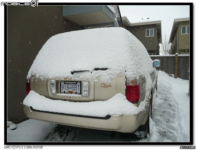雪地裡的小Q