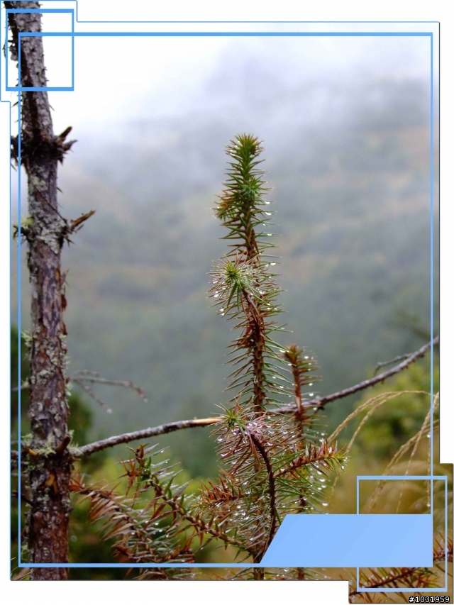 騎機車上 南橫 下 台東 兩日遊~Day-1