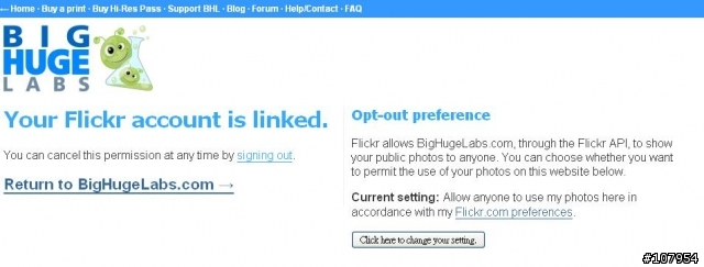 fd's Flickr Toys 的Profile Widget功能