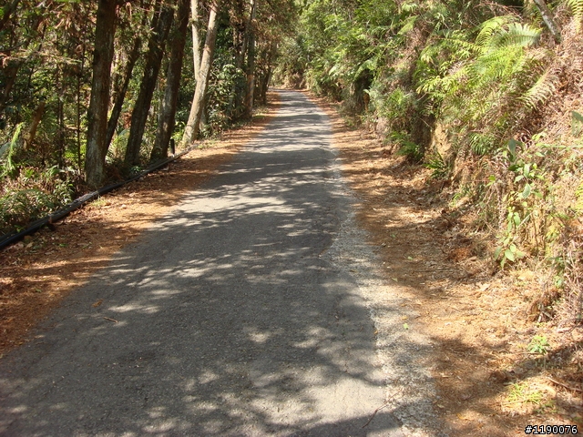 [分享][過年騎車的照片] 日月潭 & 貓囒山步道