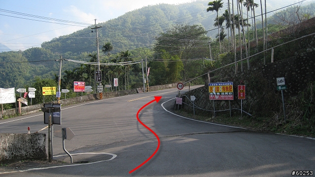 南投縣 竹山→投49鄉道→大人凍林道→軟鞍八卦茶園