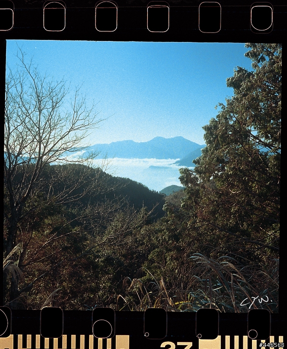 分享 - 2009 太平山的第一道曙光