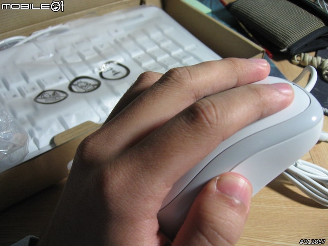 純白基本款，微軟標準滑鼠鍵盤組 600