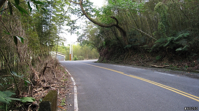 南投縣 竹山→投49鄉道→大人凍林道→軟鞍八卦茶園