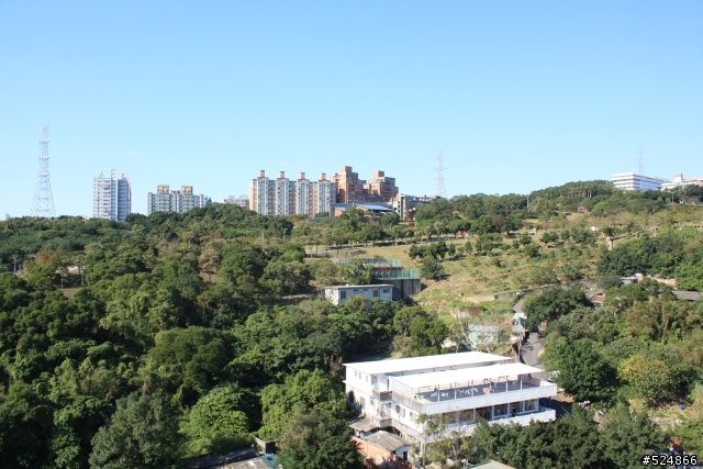 [請教]450D風景照，陰影下怎麼解