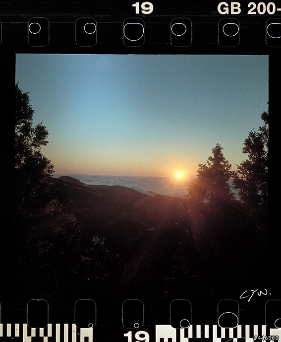 分享 - 2009 太平山的第一道曙光