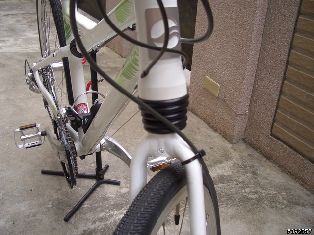 [分享]女王的美型新車GIANT ADVENTURE Enlight 3